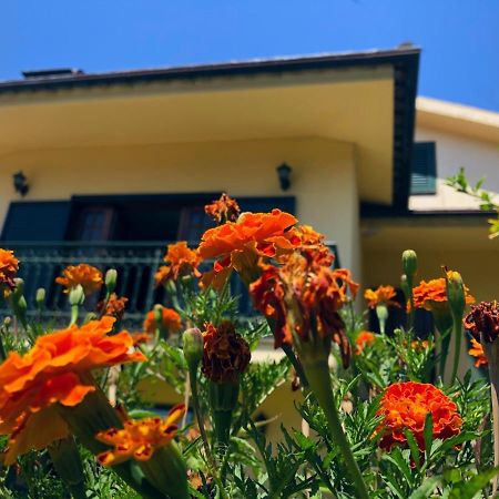 Casa Sao Simao Villa Barcelos Exteriör bild