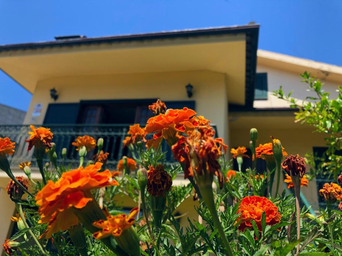 Casa Sao Simao Villa Barcelos Exteriör bild